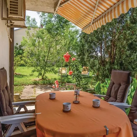 Apartament Regi Vi *