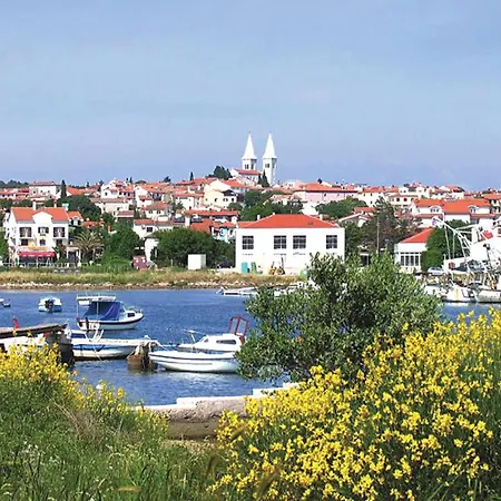 Regi Vi מדולין