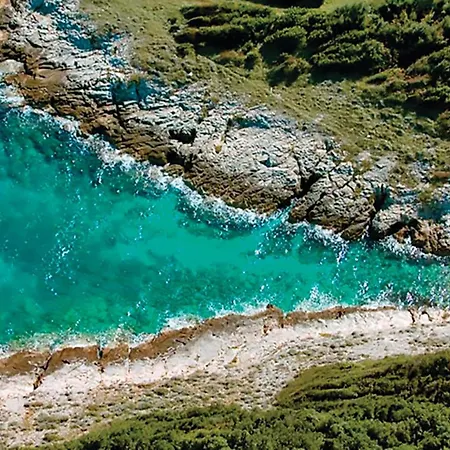 Regi Vi * מדולין